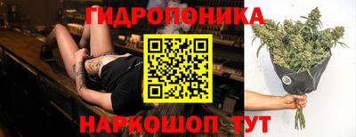 МДПВ Сланцы