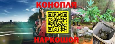 МДПВ Сланцы