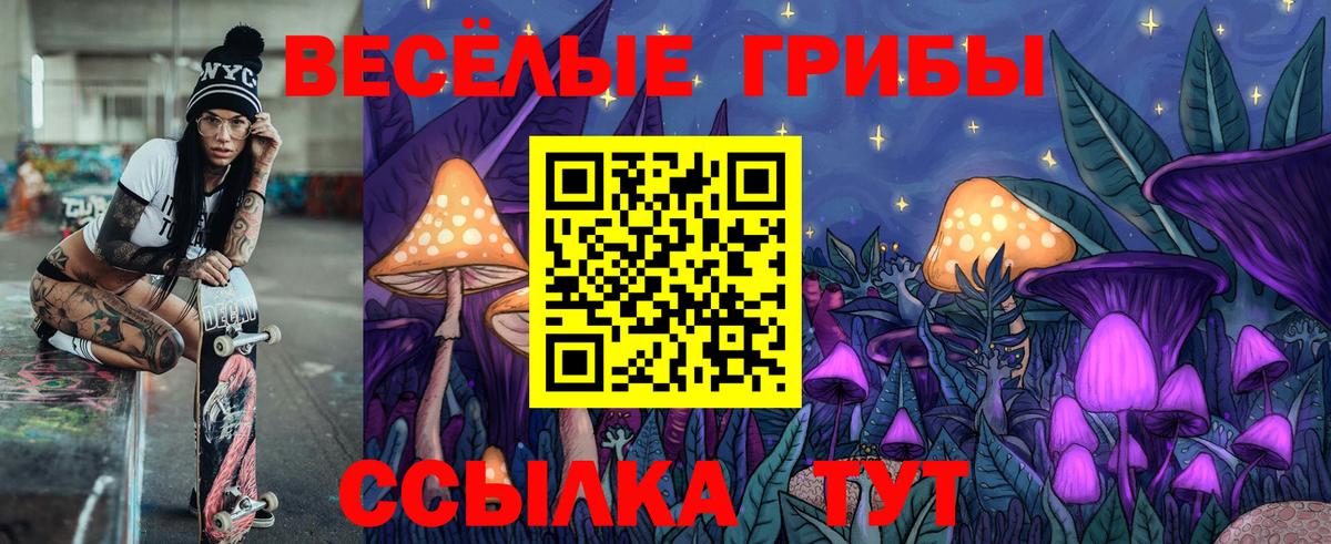 Галлюциногенные грибы Psilocybine cubensis Октябрьский