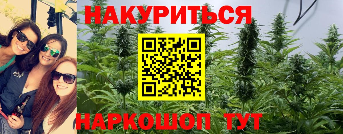 Бошки марихуана планчик Октябрьский